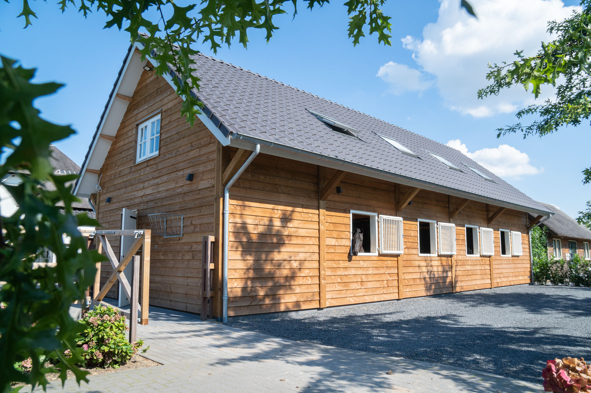 afbeeldingStal Assen
