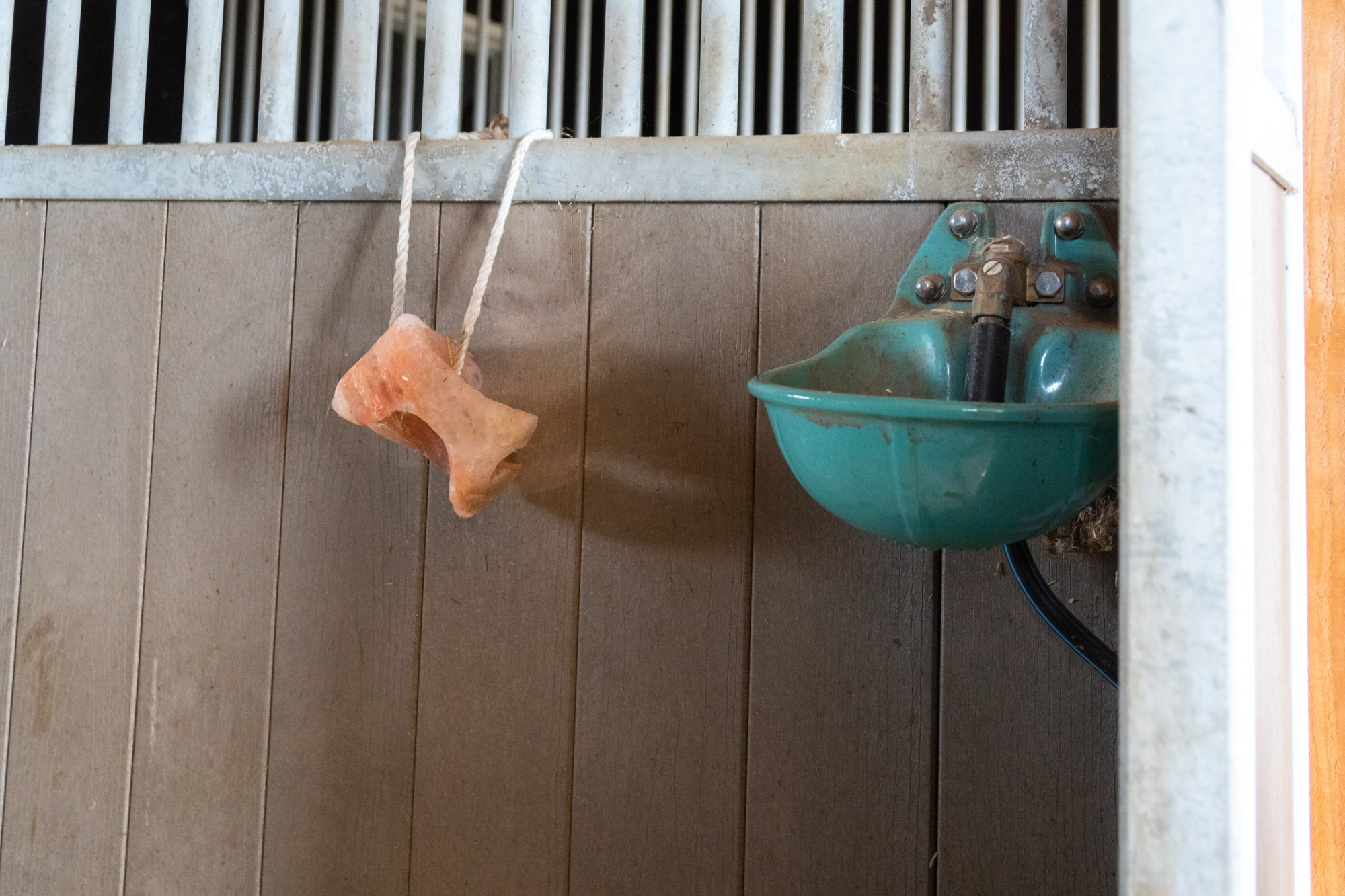 afbeeldingStal Kerk-Avezaath