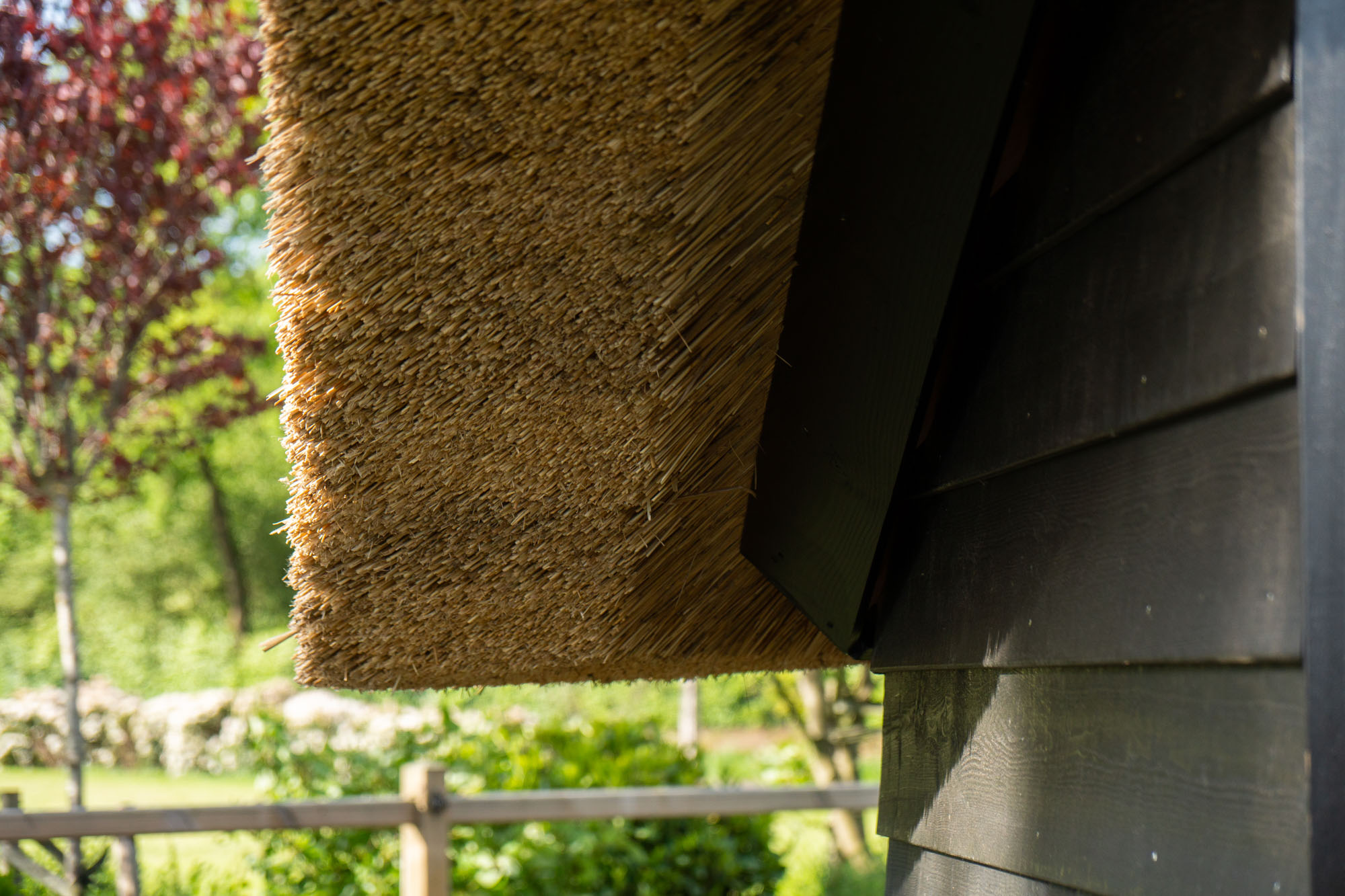 afbeeldingSchaapskooi Scheerwolde