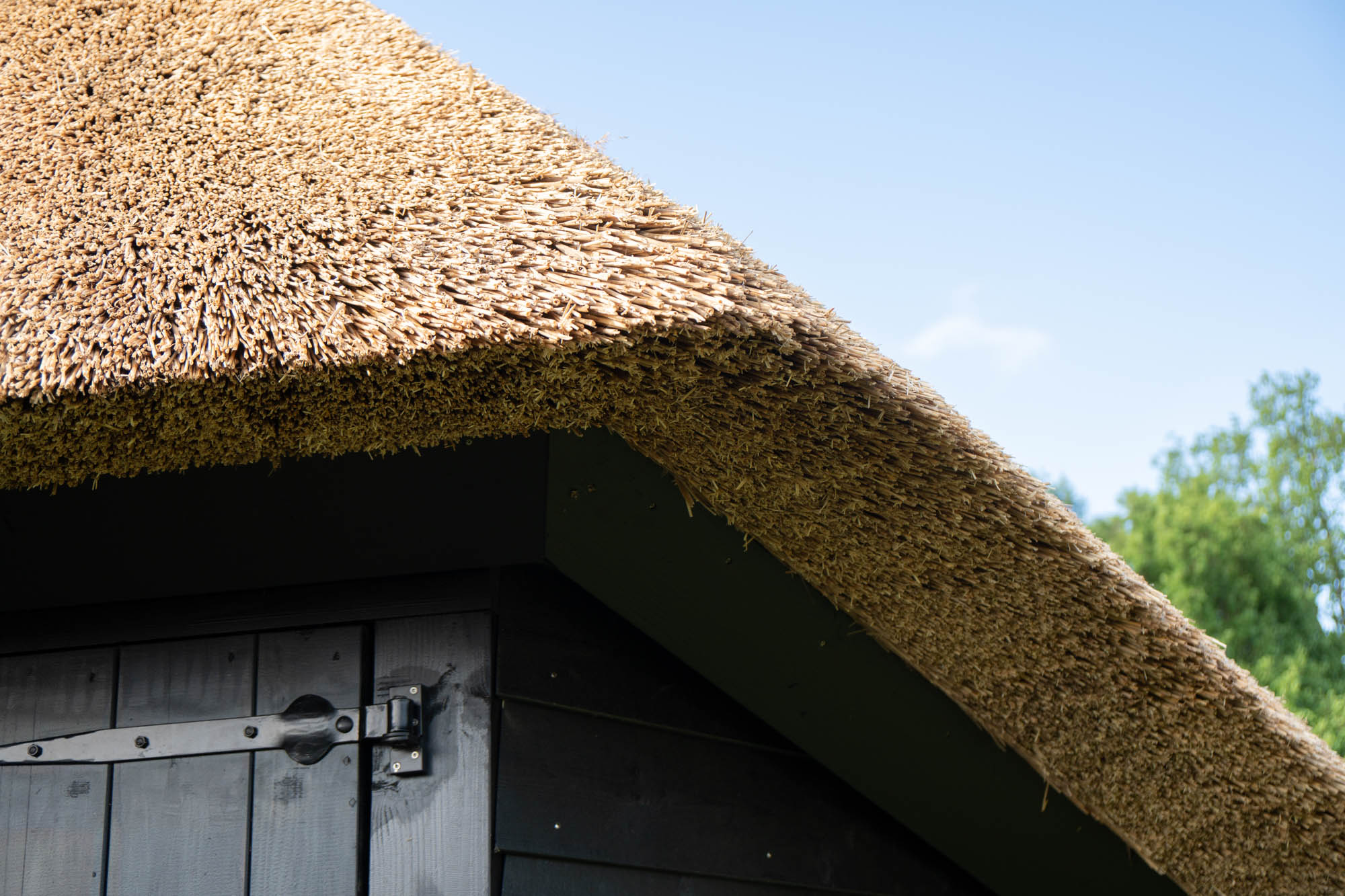 afbeeldingSchaapskooi Scheerwolde