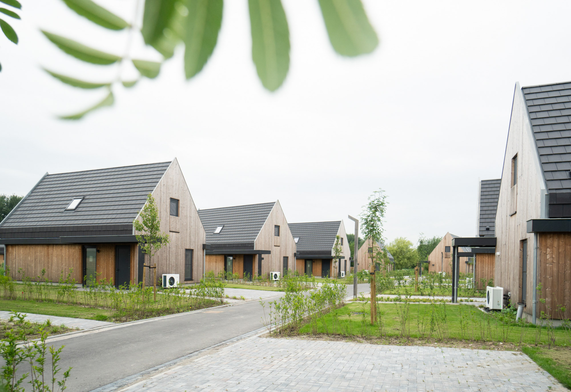 afbeeldingProjectontwikkeling met <br> Geldersche Houtbouw